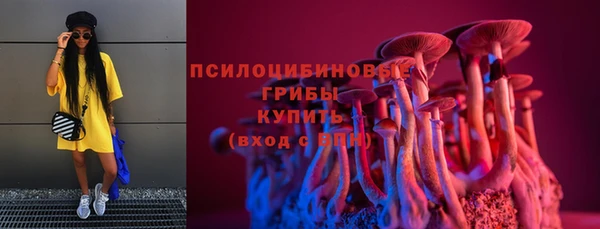 соль ск Алзамай