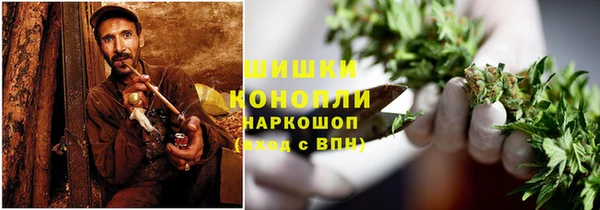 шишки Алексин