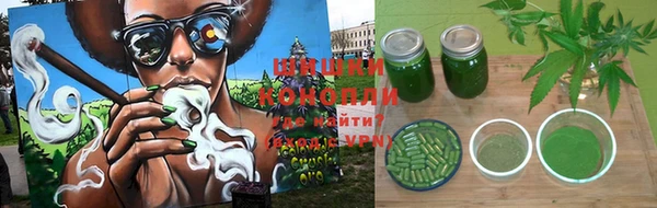 шишки Алексин