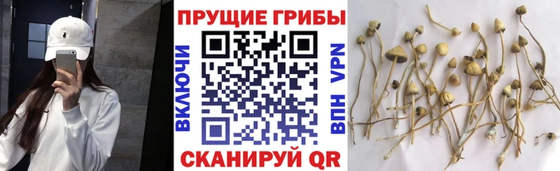 ссылка на мегу рабочий сайт  купить закладку  Луза  Галлюциногенные грибы мухоморы 